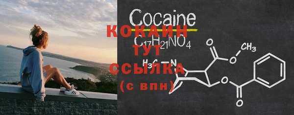 ПСИЛОЦИБИНОВЫЕ ГРИБЫ Михайловка