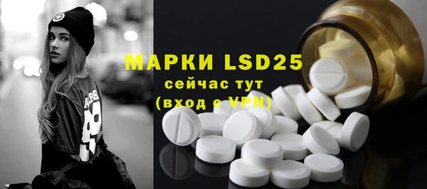 гашик Михайловск