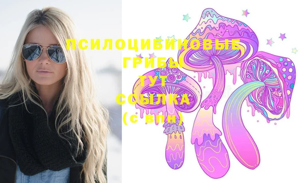 Альфа ПВП Медногорск