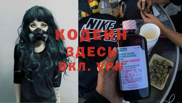 шишки Володарск