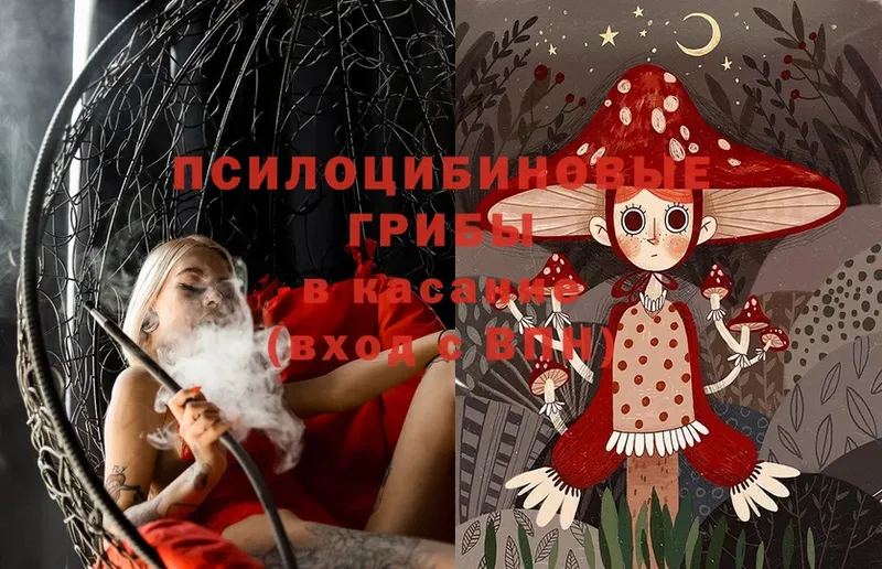 купить   Моздок  Галлюциногенные грибы Magic Shrooms 