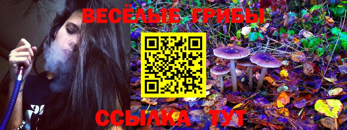 Галлюциногенные грибы Psilocybine cubensis  Вход с VPN  Моздок 