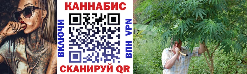 Каннабис планчик Моздок